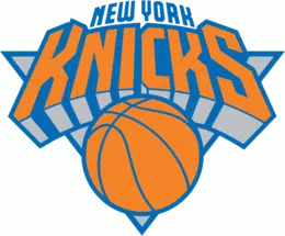 guide new york knicks 2025 2026