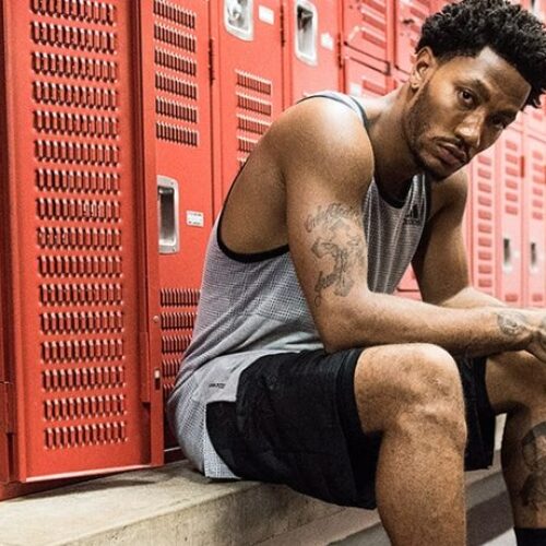 Image de l'article D Rose 11 