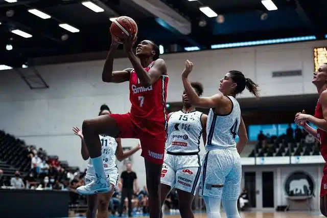  chaussure equipe france feminine basket sandrine gruda jordan 35