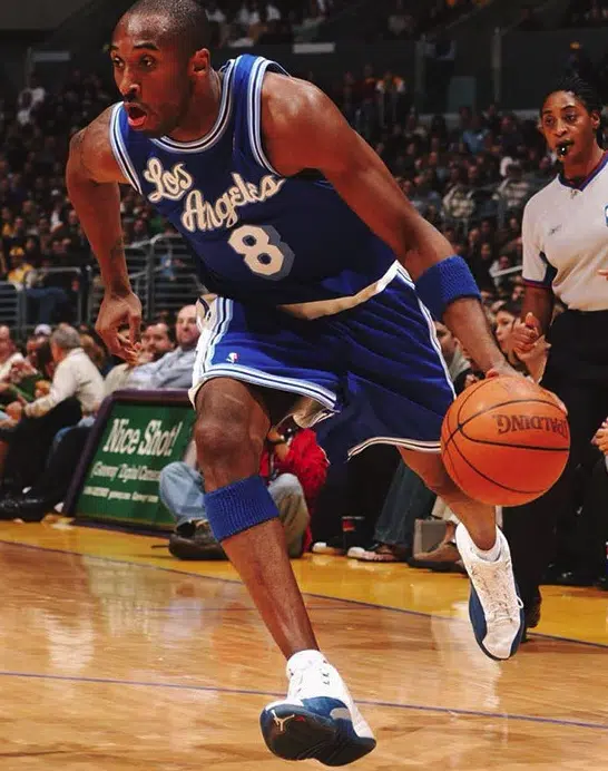 kobe bryant chaussure 2002 2003 jordan 12