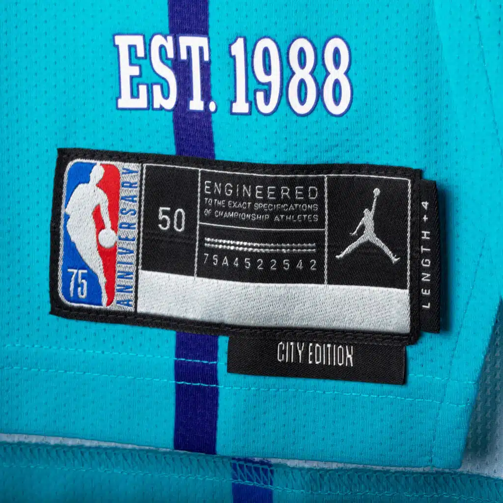 maillot city charlotte hornets edition 2021 2022