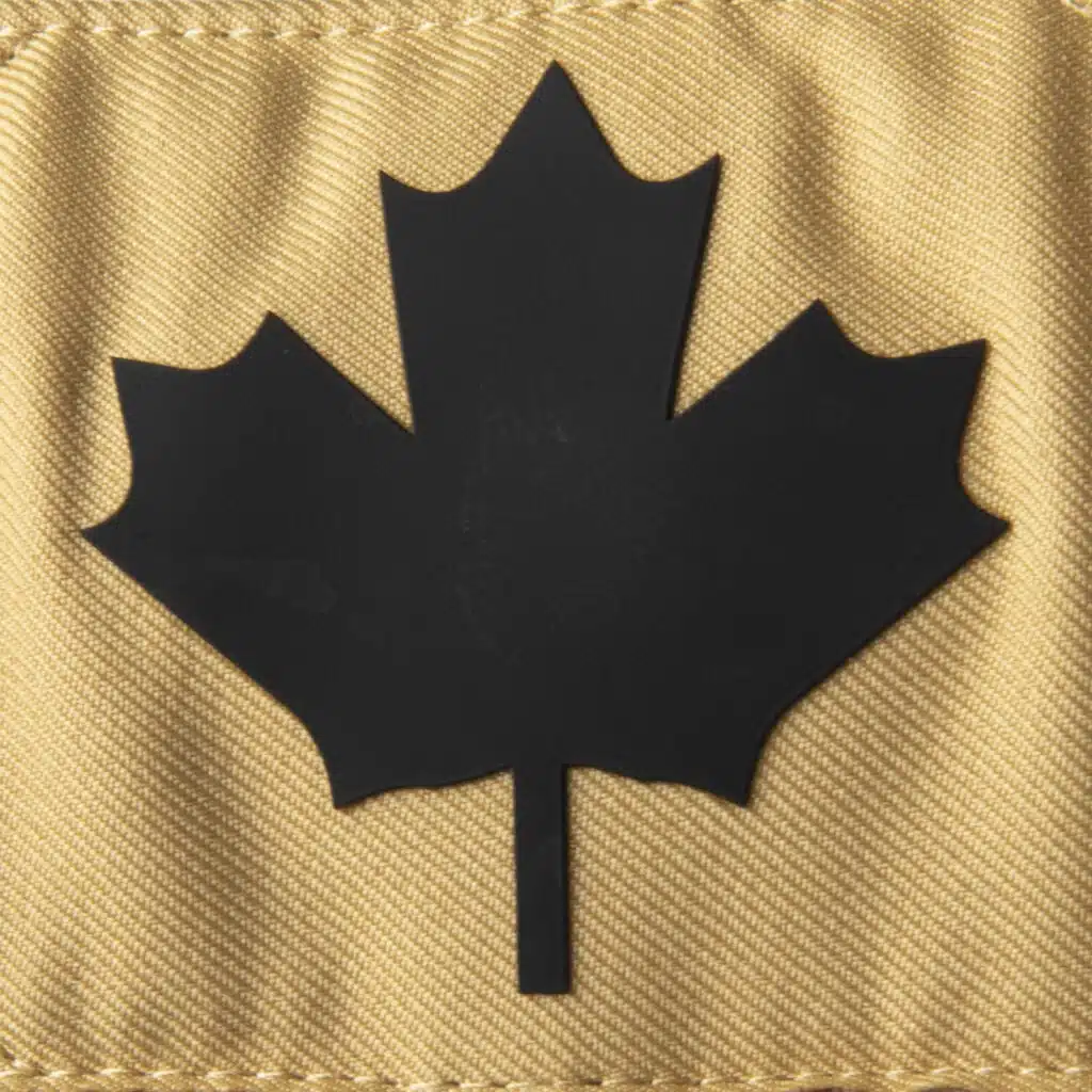 maillot city toronto raptors edition 2021 2022