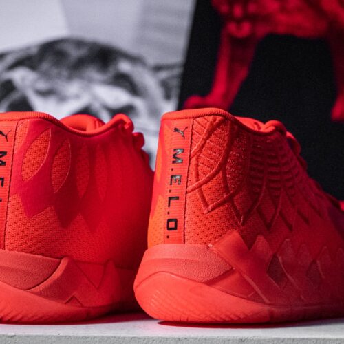 Image de l'article Toutes les chaussures signatures de la saison 2021-2022