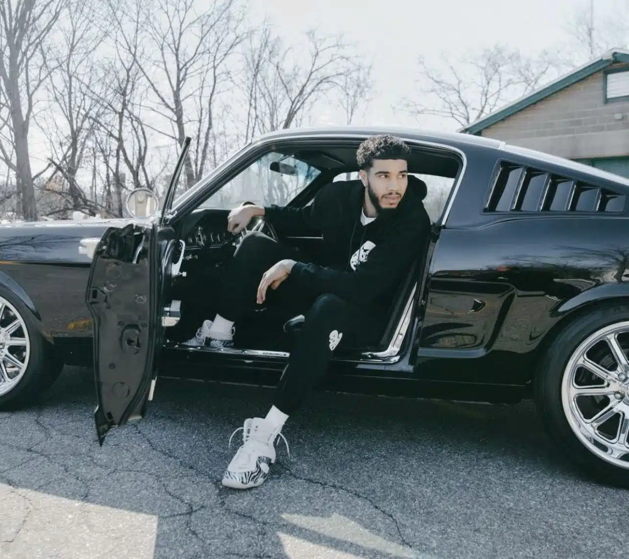 Jordan 36 mustang