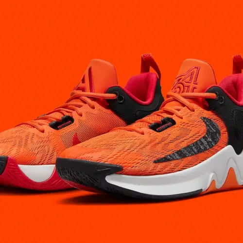 Image de l'article Giannis Immortality 2 : un coloris full orange !