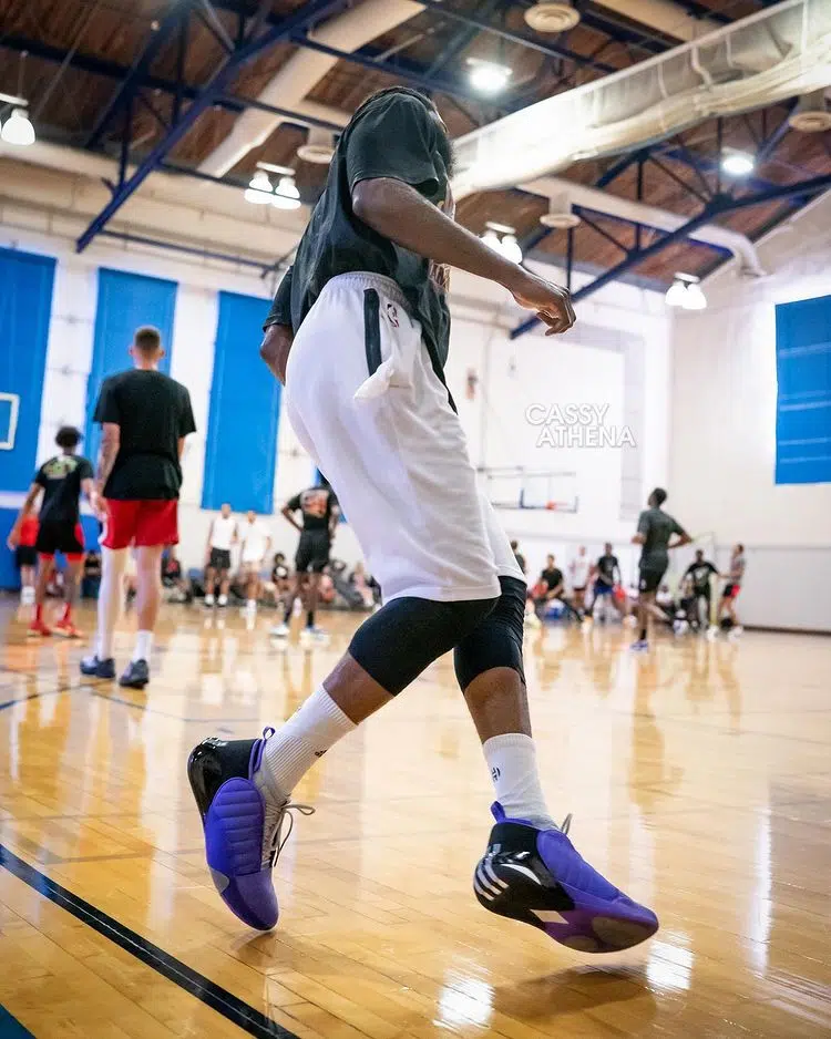 adidas harden vol.7