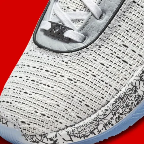 Image de l'article LeBron 20 The Debut : un nouveau coloris pour King James !
