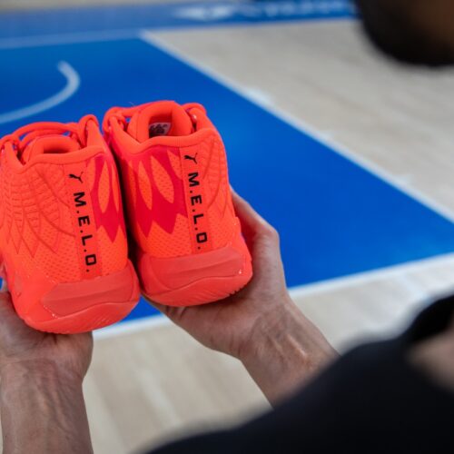 Image de l'article Les Grizzlies fâchés avec les signature shoes !