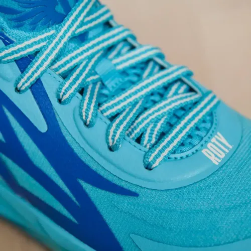 Image de l'article PUMA MB.02 