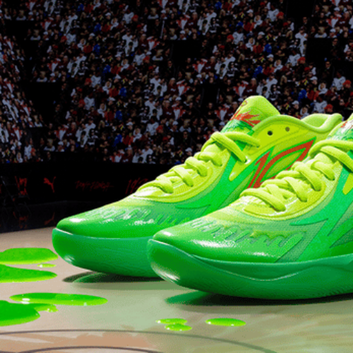 Image de l'article PUMA MB.02 