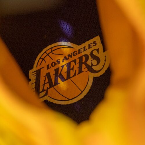 Image de l'article Test de la Tarmak SE900 Lakers édition limitée !
