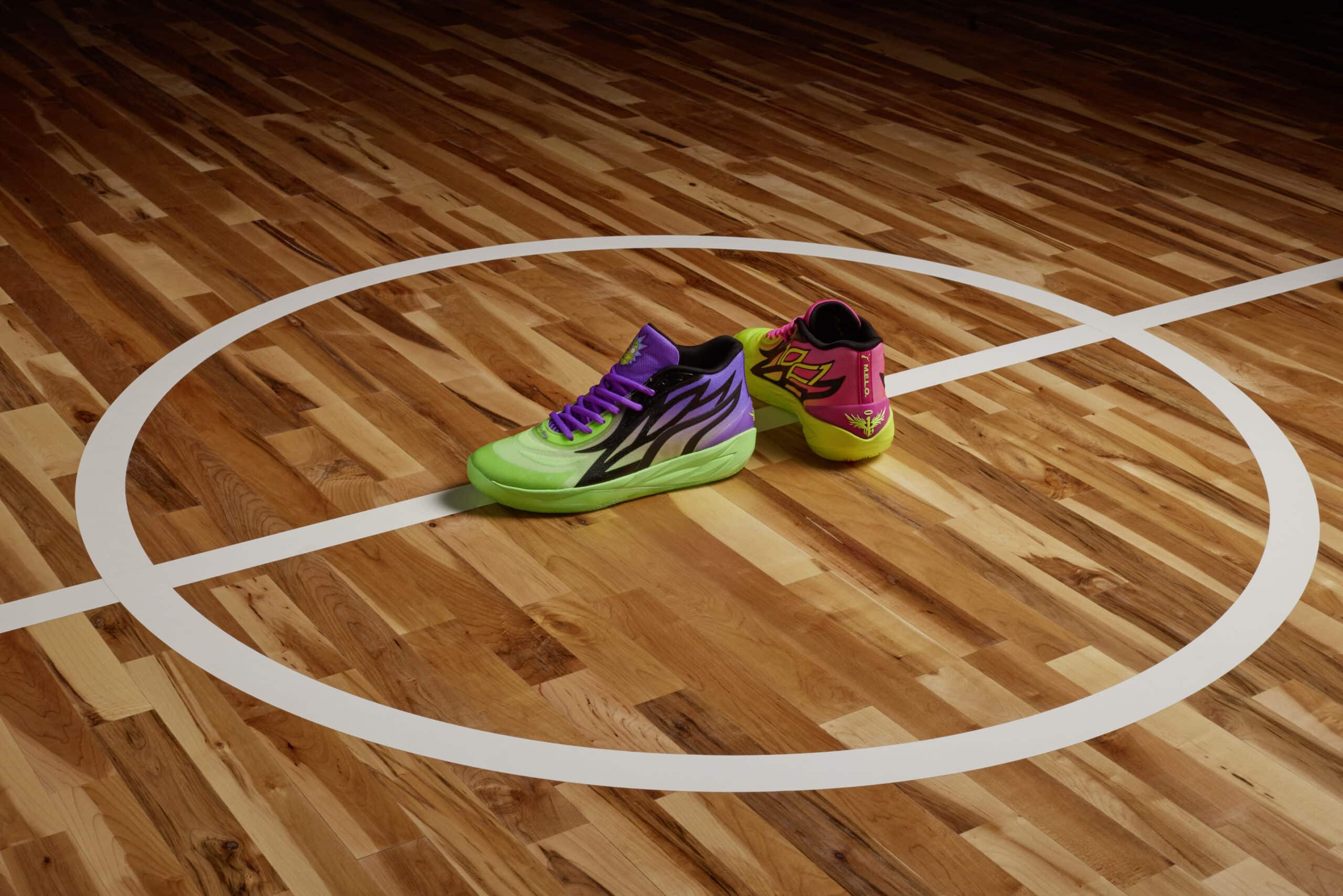 Chaussure De Basket Rick Et Morty