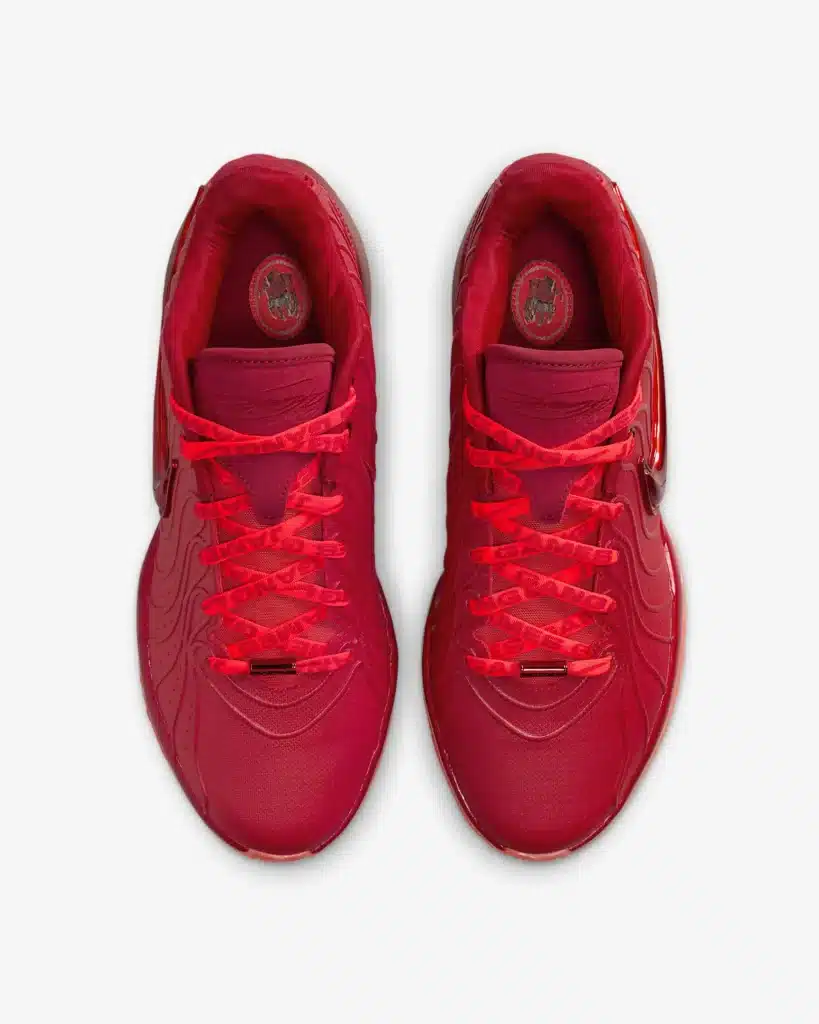 nike lebron 21 james gang