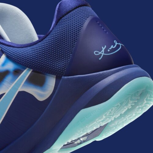 Image de l'article La Kobe 5 X-Ray débarque en France !