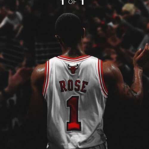 Image de l'article Le maillot de Derrick Rose retiré par les Chicago Bulls