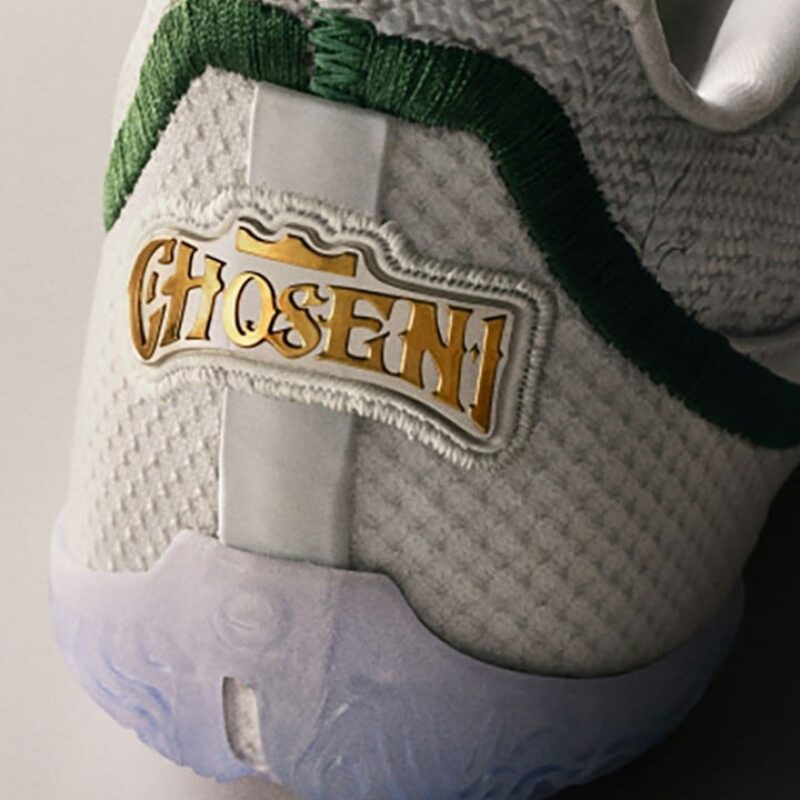 nike lebron 23 from this point forward sports illustrated