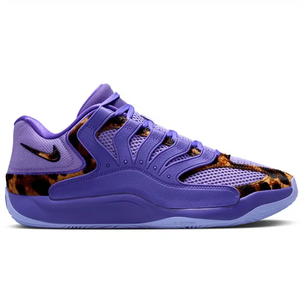 chaussure de basketball en promotion