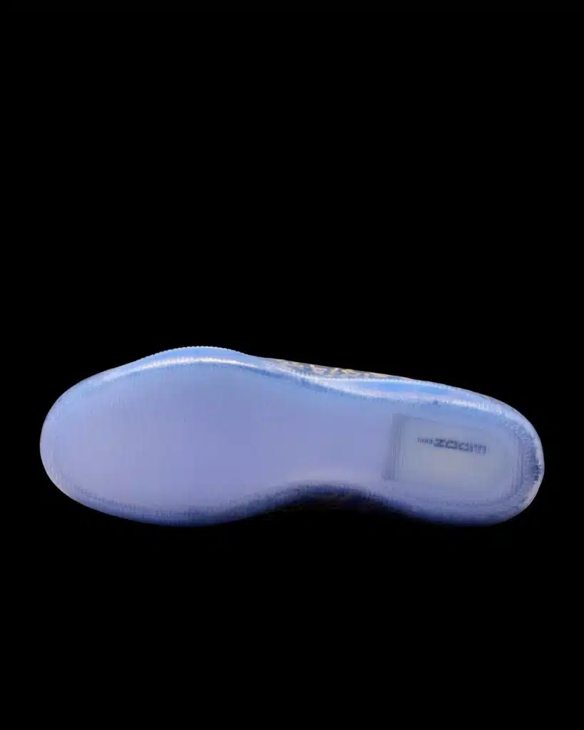 nike kobe 11 protro mamba out