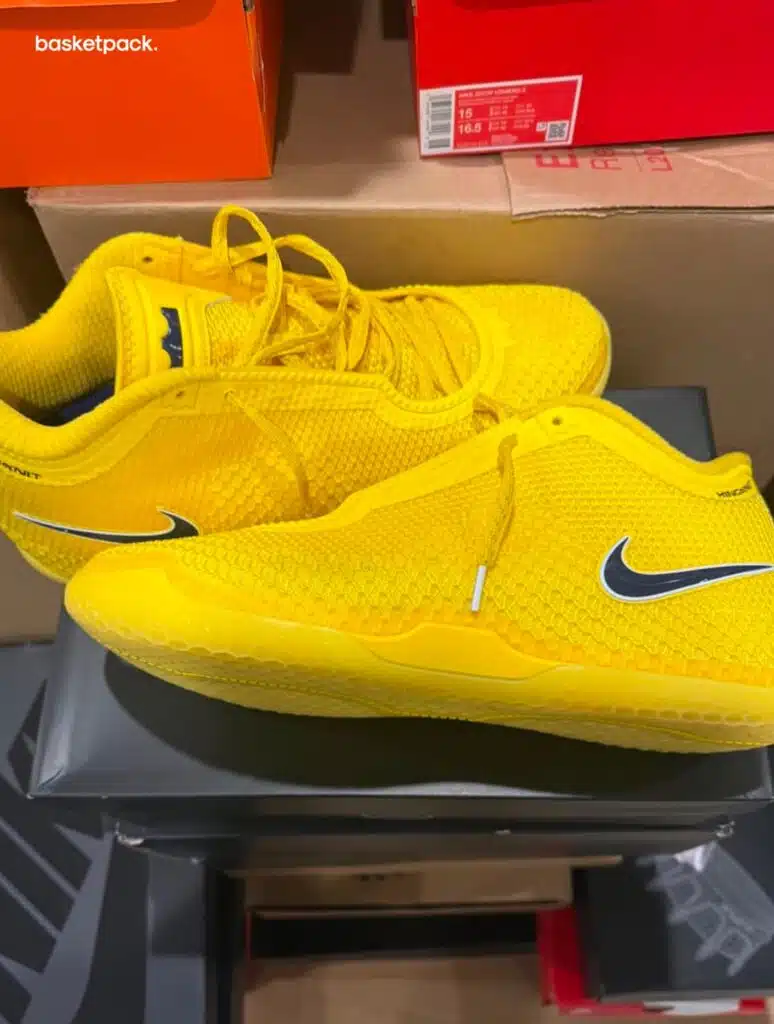 nike lebron 24