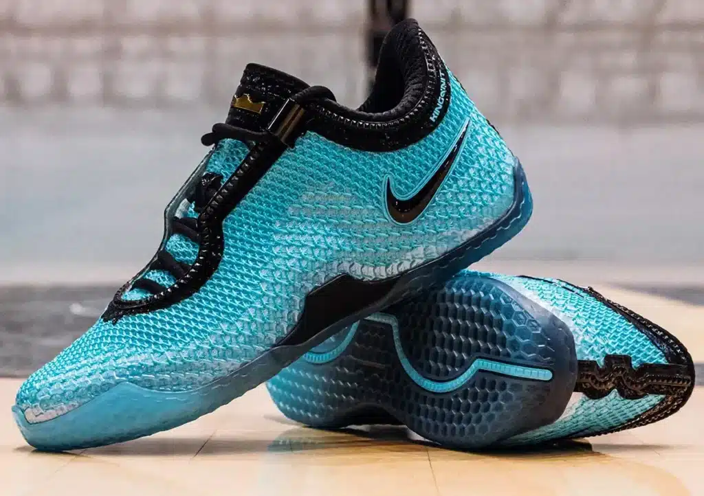 nike lebron witness 10 vs nike lebron 24 quelles differences