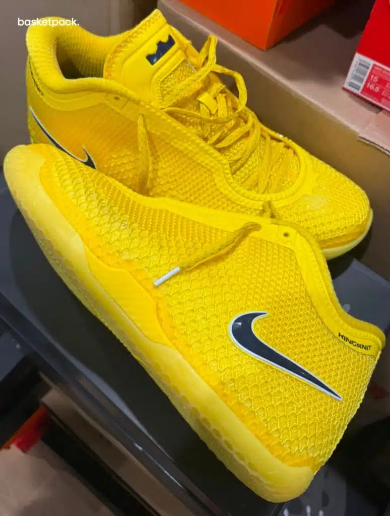 nike lebron 24