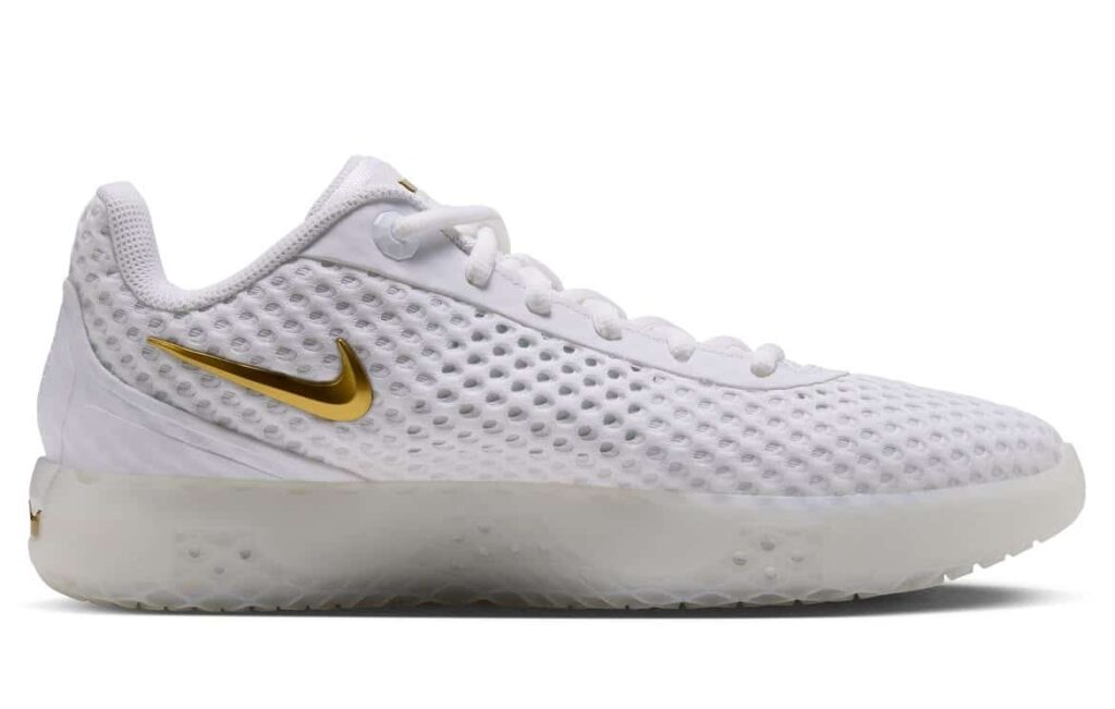 nike lebron witness 10