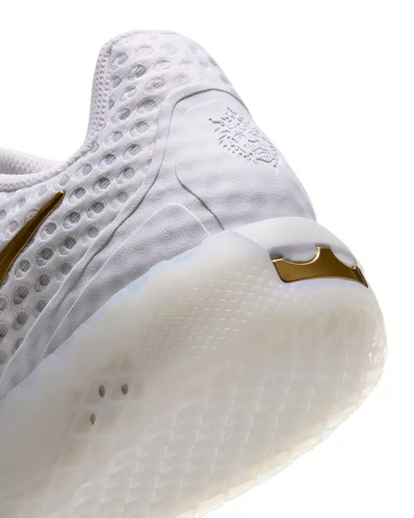 nike lebron witness 10
